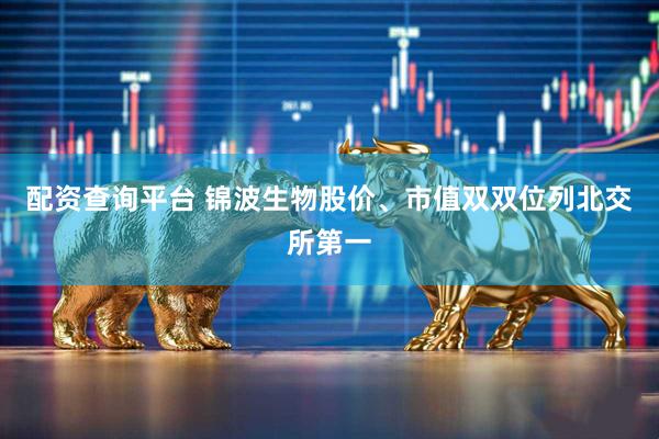 配资查询平台 锦波生物股价、市值双双位列北交所第一