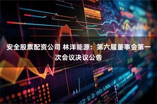 安全股票配资公司 林洋能源：第六届董事会第一次会议决议公告